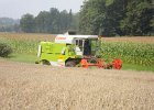 Claas Drescher 42